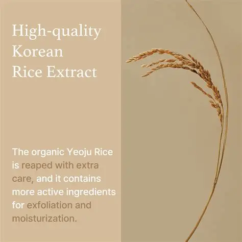 I'm from - Rice Mask - Image 6